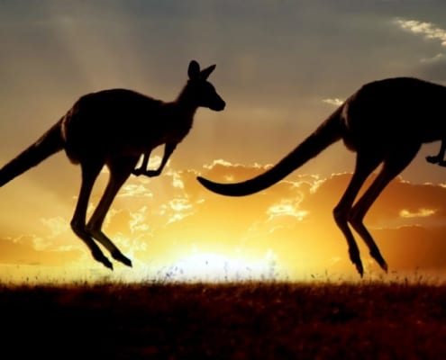 TESOL jobs - Teach English abroad in 3 easy steps