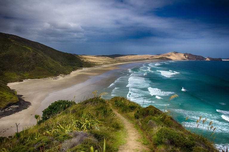 Traveling Through New Zealand