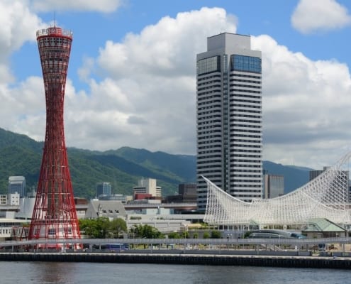TESOL Japan co-teacher