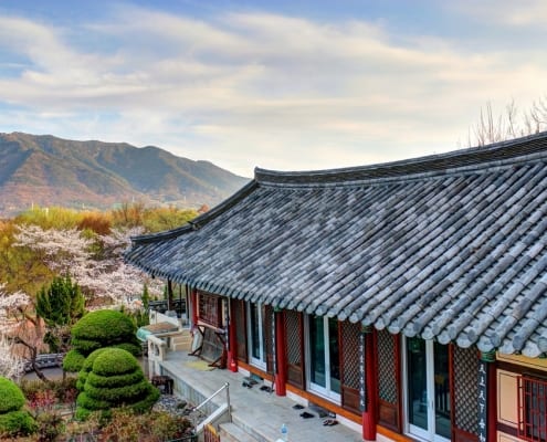 Teach English in rural South Korea