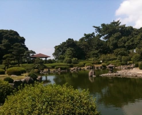 Travel and Adaptation Tips for Teaching English in Japan