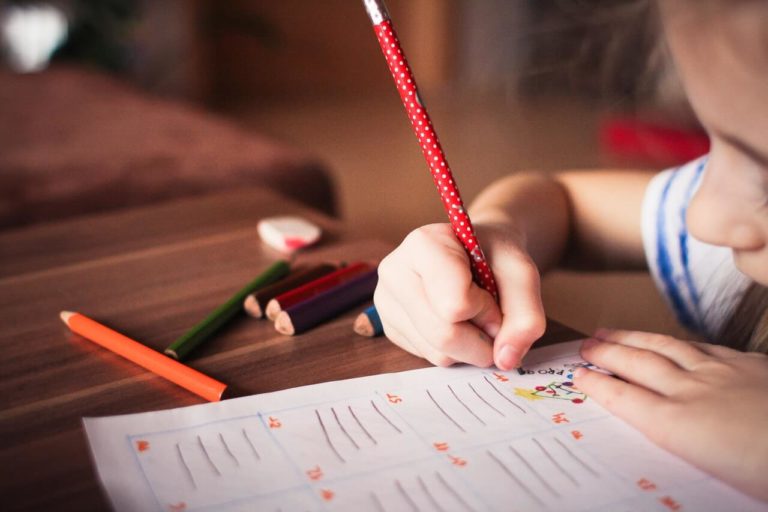 Using L1 and End-of-Lesson Projects