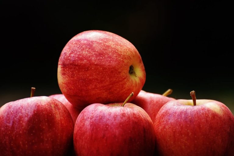 Bobbing for apple -Cultural Activities to Engage Young Learners