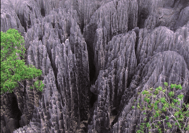 TEFL Teacher in Madagascar -ESL Textbook in Madagascar