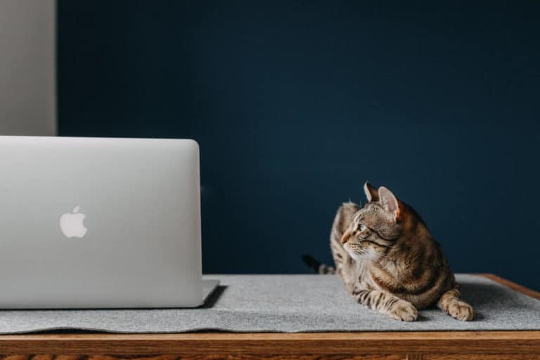 setting up your workspace for online teaching