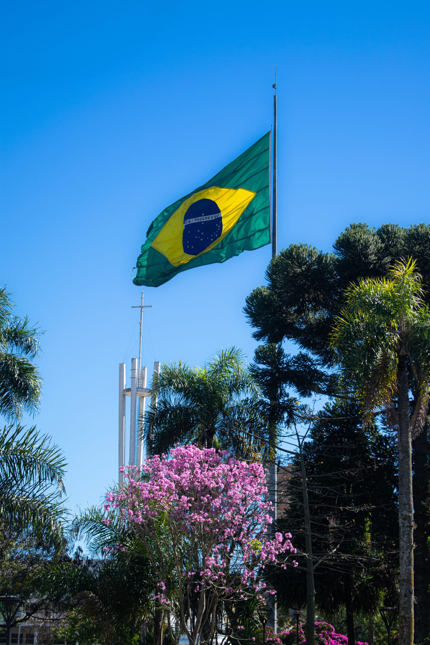 Teaching in Brazil Review
